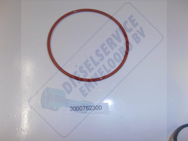 O-RING